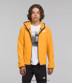 Kids Glacier Full-Zip Hooded Jacket The North Face BXR246948 Clothing Summit Gold
