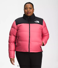 Women Plus 1996 Retro Nuptse Jacket The North Face BXR246799 Clothing Cosmo Pink