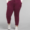 Women Plus Alpine Polartec 100 Pants The North Face BXR246251 Clothing Boysenberry
